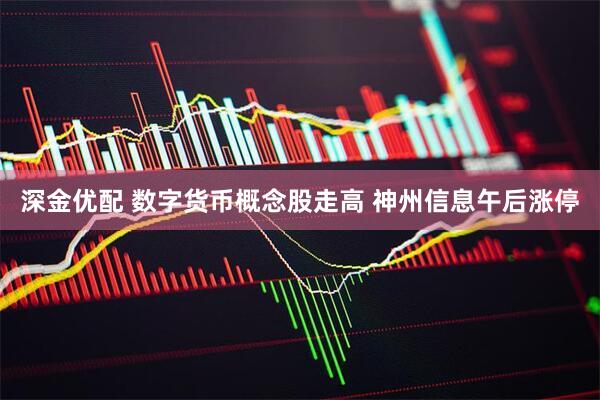 深金优配 数字货币概念股走高 神州信息午后涨停