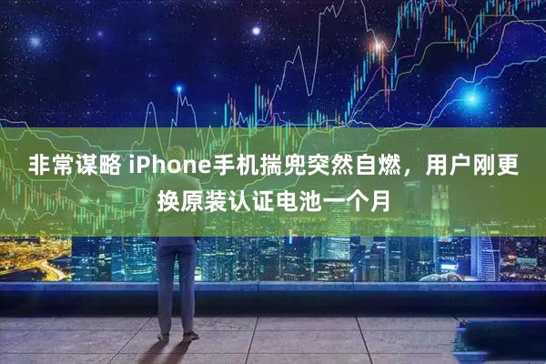 非常谋略 iPhone手机揣兜突然自燃，用户刚更换原装认证电池一个月