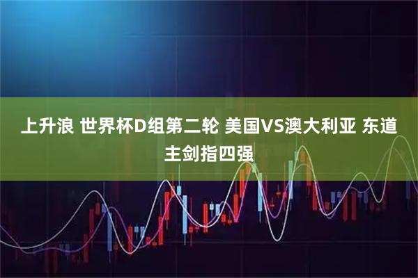 上升浪 世界杯D组第二轮 美国VS澳大利亚 东道主剑指四强